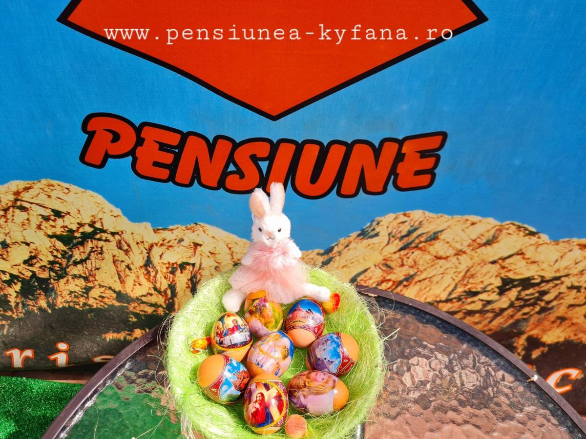 Pensiunea Kyfana Zarnesti Ngoại thất bức ảnh